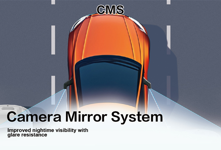 07-CMS.jpg